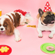Imagen para el artículo titulado Olvídate del mito de los 7 años: la ciencia tiene una nueva fórmula para comparar la edad de tu perro con la humana